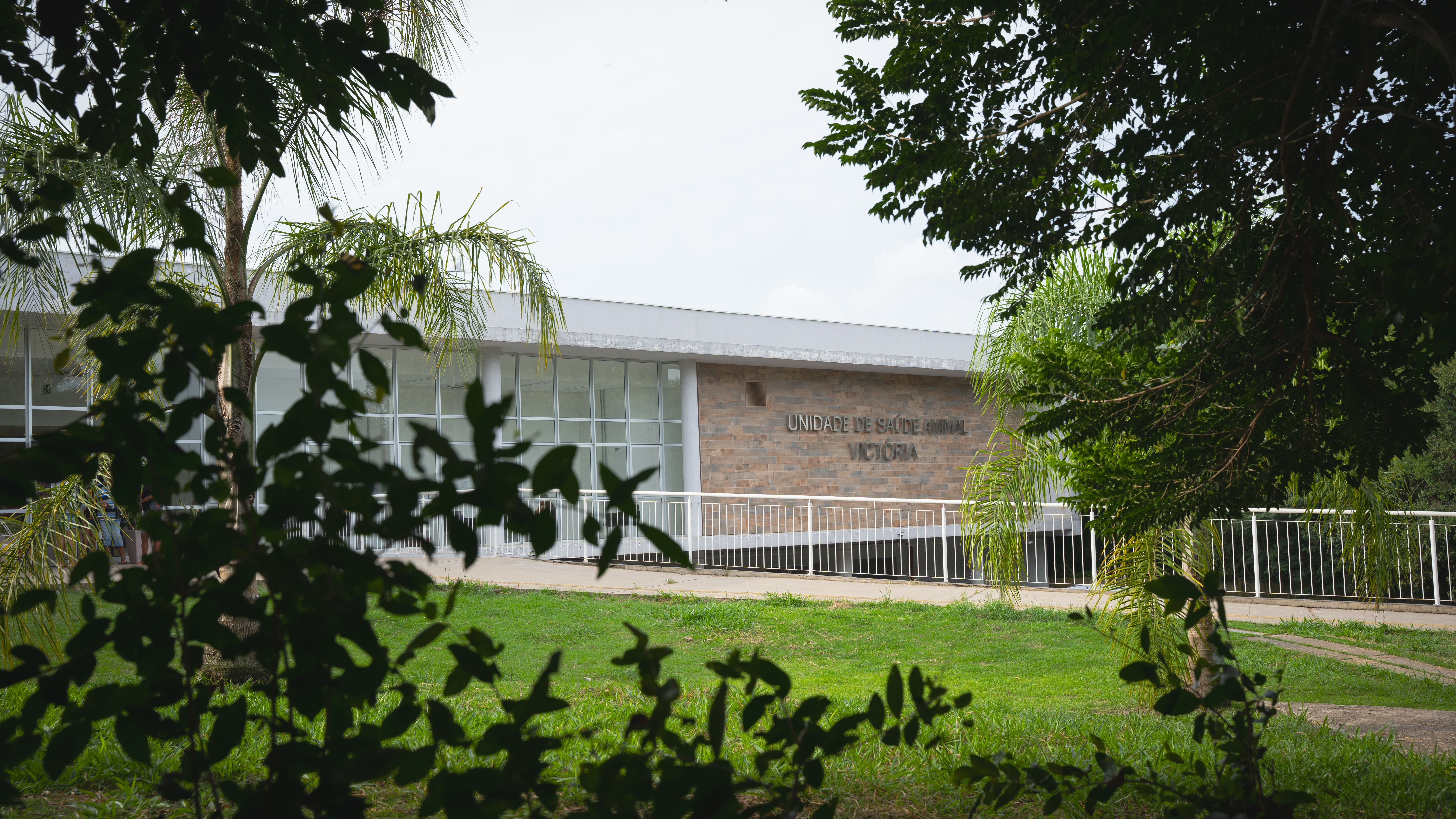 Hospital Veterinário
